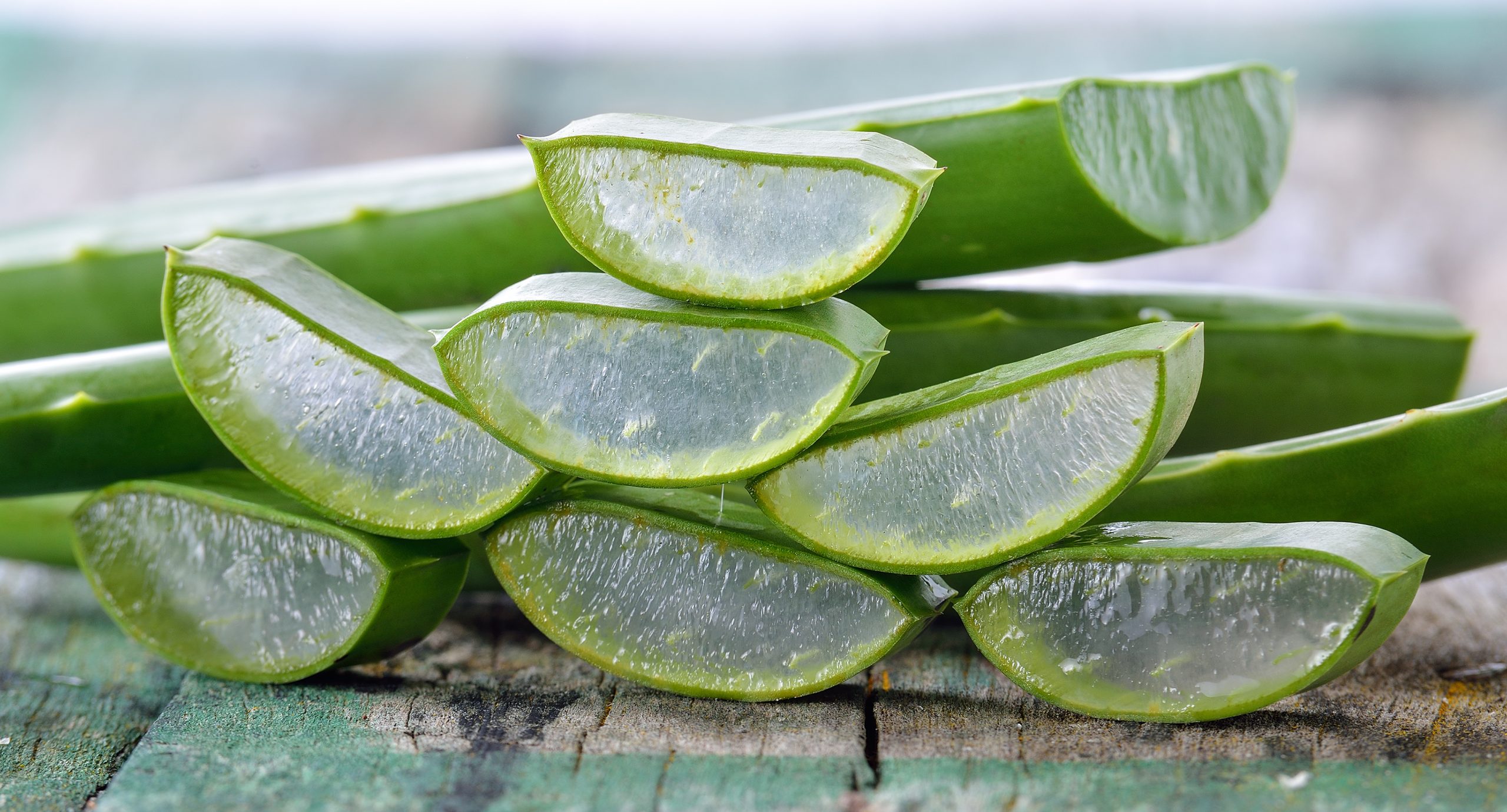 Unabhängiger Distributor von Forever Living Products: Aloe Vera First Spray im Fokus